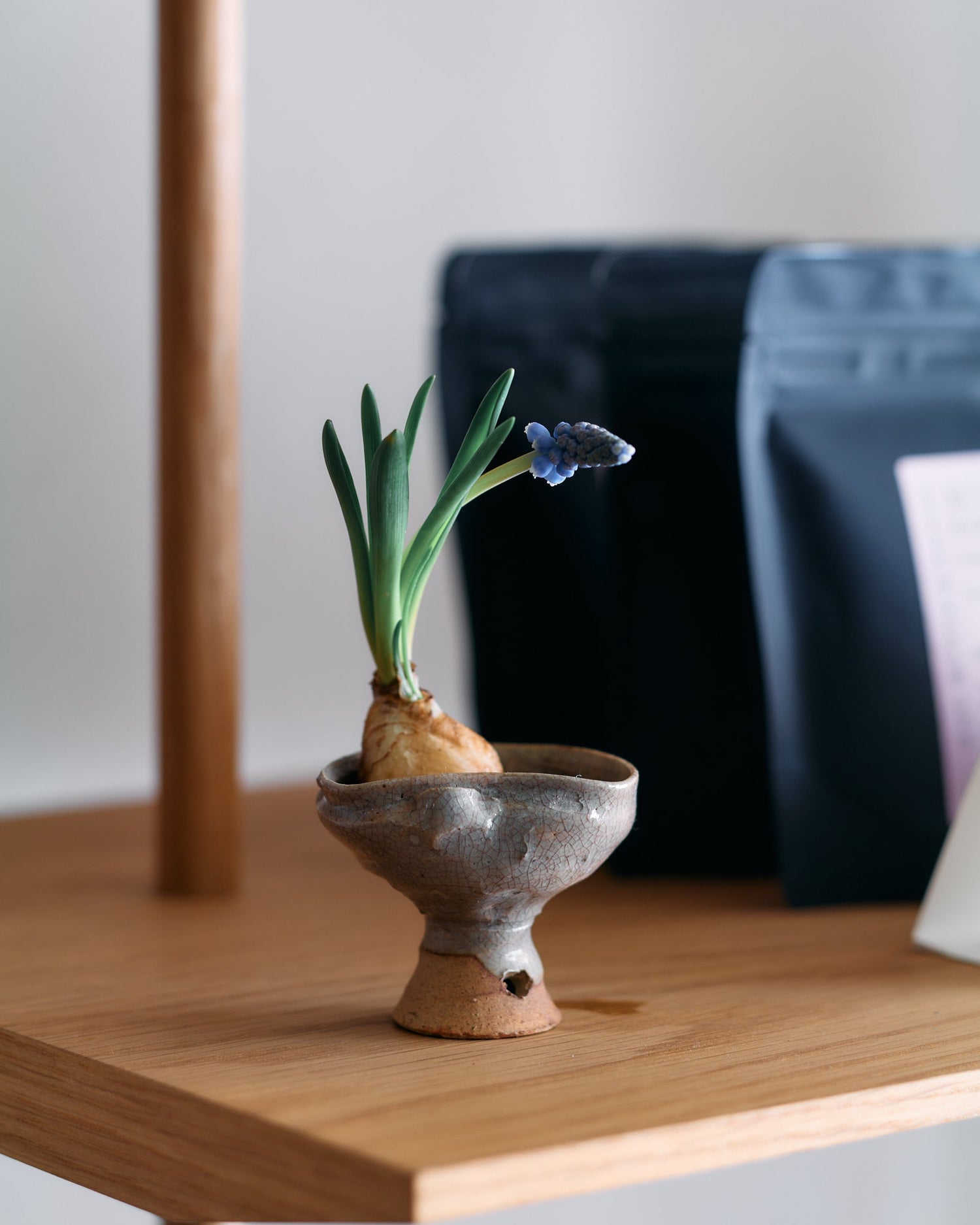 春の気分に寄り添う、コーヒー豆別レシピの紹介