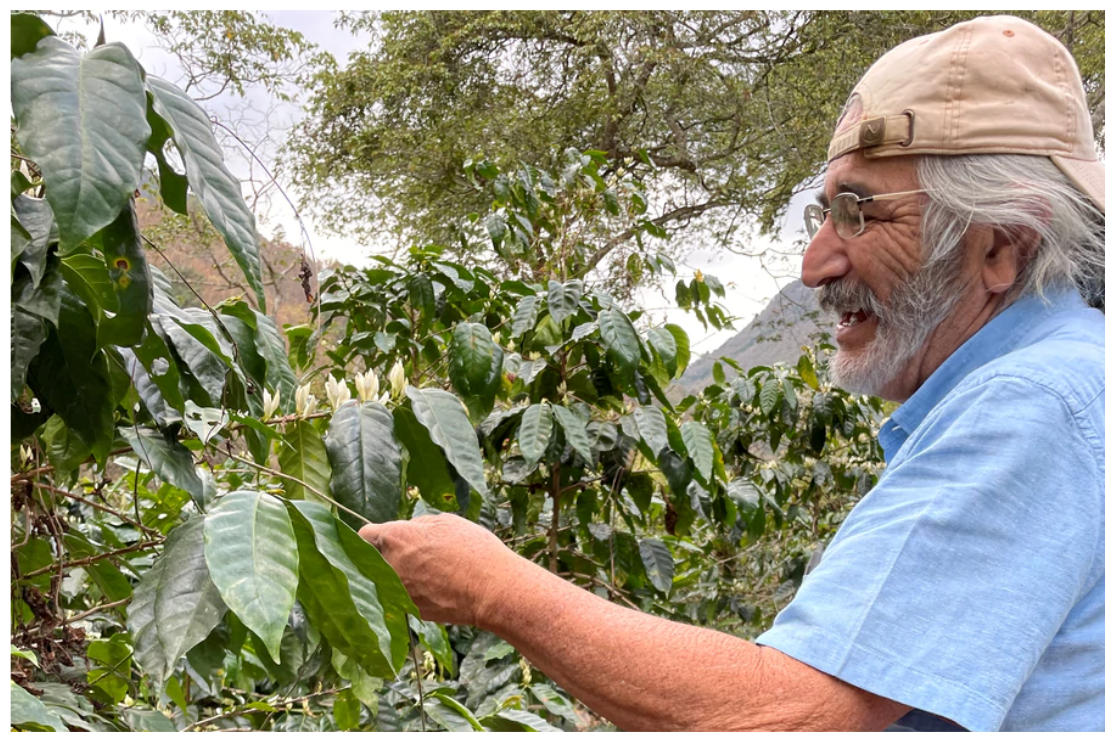 グアテマラ アントニオ・コロム のご紹介!