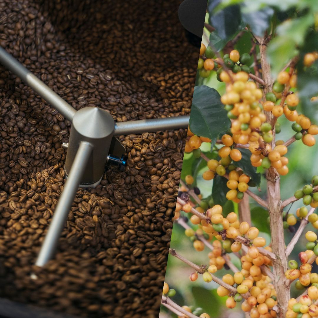 Kurasu Journal:一粒一粒の豆に意味と意志を込めて、コーヒー産業の裏側に迫る。