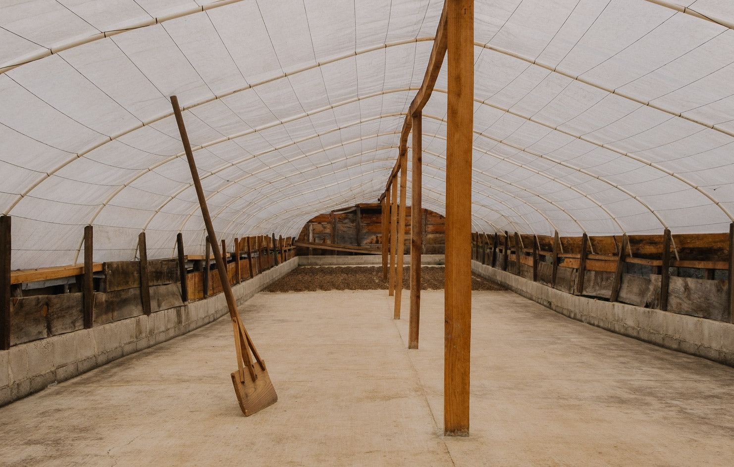 シングルオリジン:「グアテマラ・テオドロ・エンゲルハート」日常に寄り添う贅沢さを表現