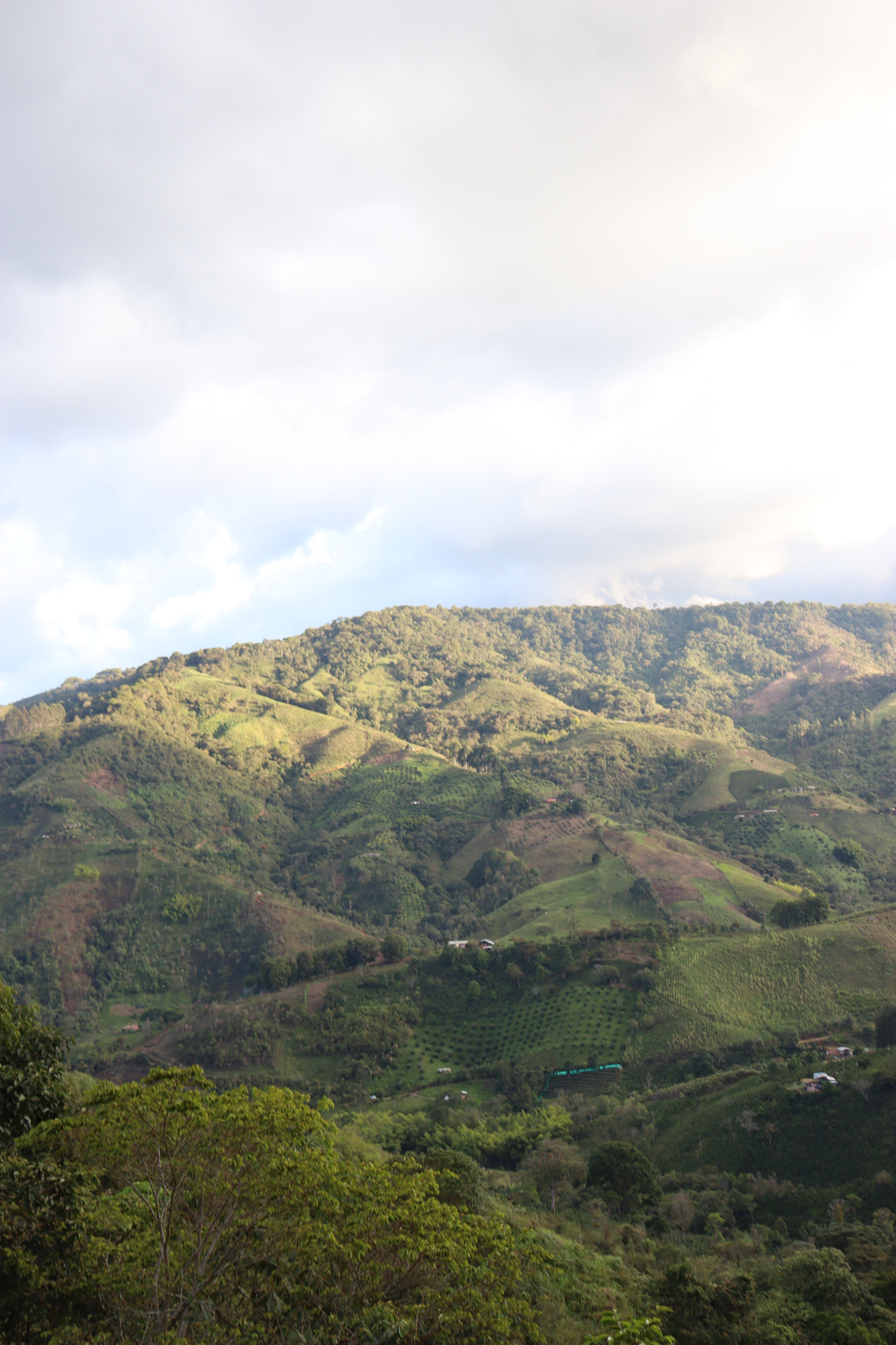 Colombia Origin Trip 2025(前編:品評会への参加)