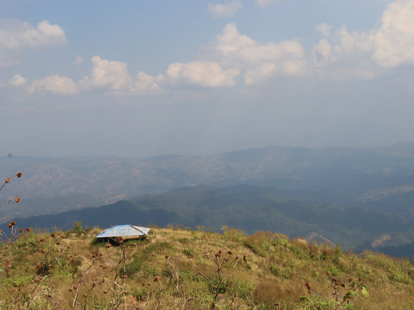 タイ産地ブログ2026(前編: チェンマイ)