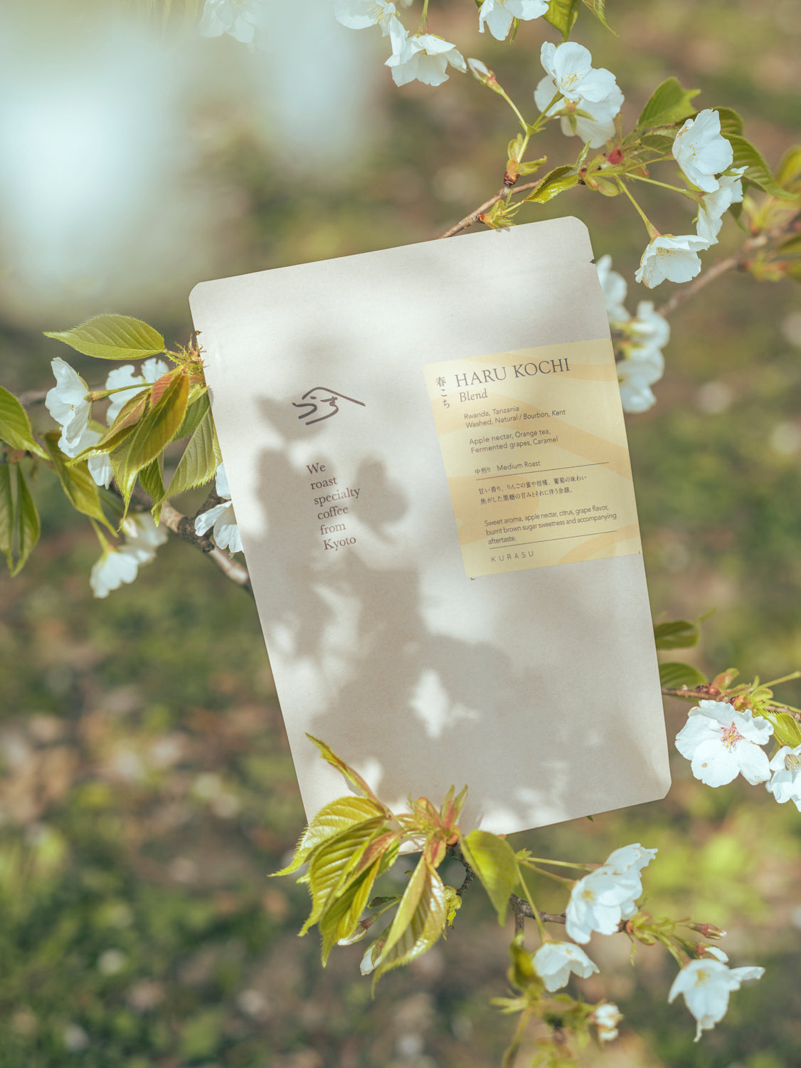 春のブレンド:『春こち2023』