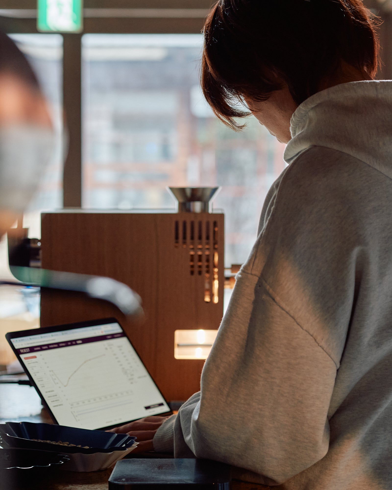 ROEST Sample Roaster L100 Plus