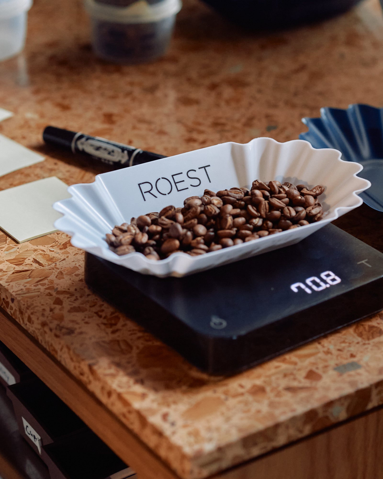 ROEST Sample Roaster L100 Plus