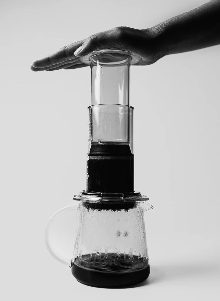 Sibarist DISC FAST (丸型)