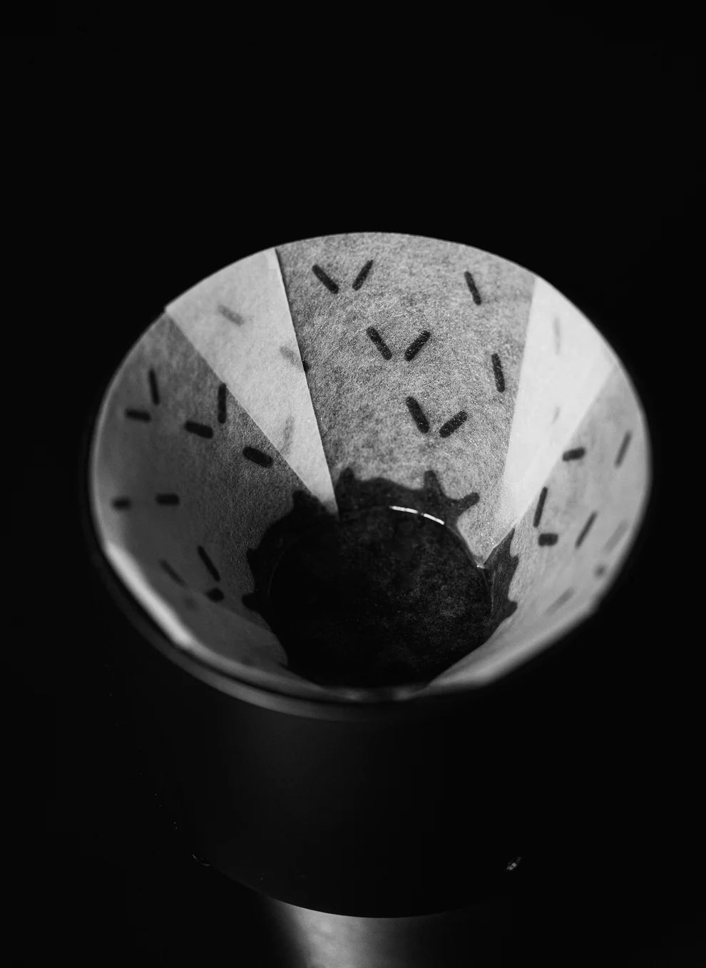 Sibarist × GRAYCANO FAST