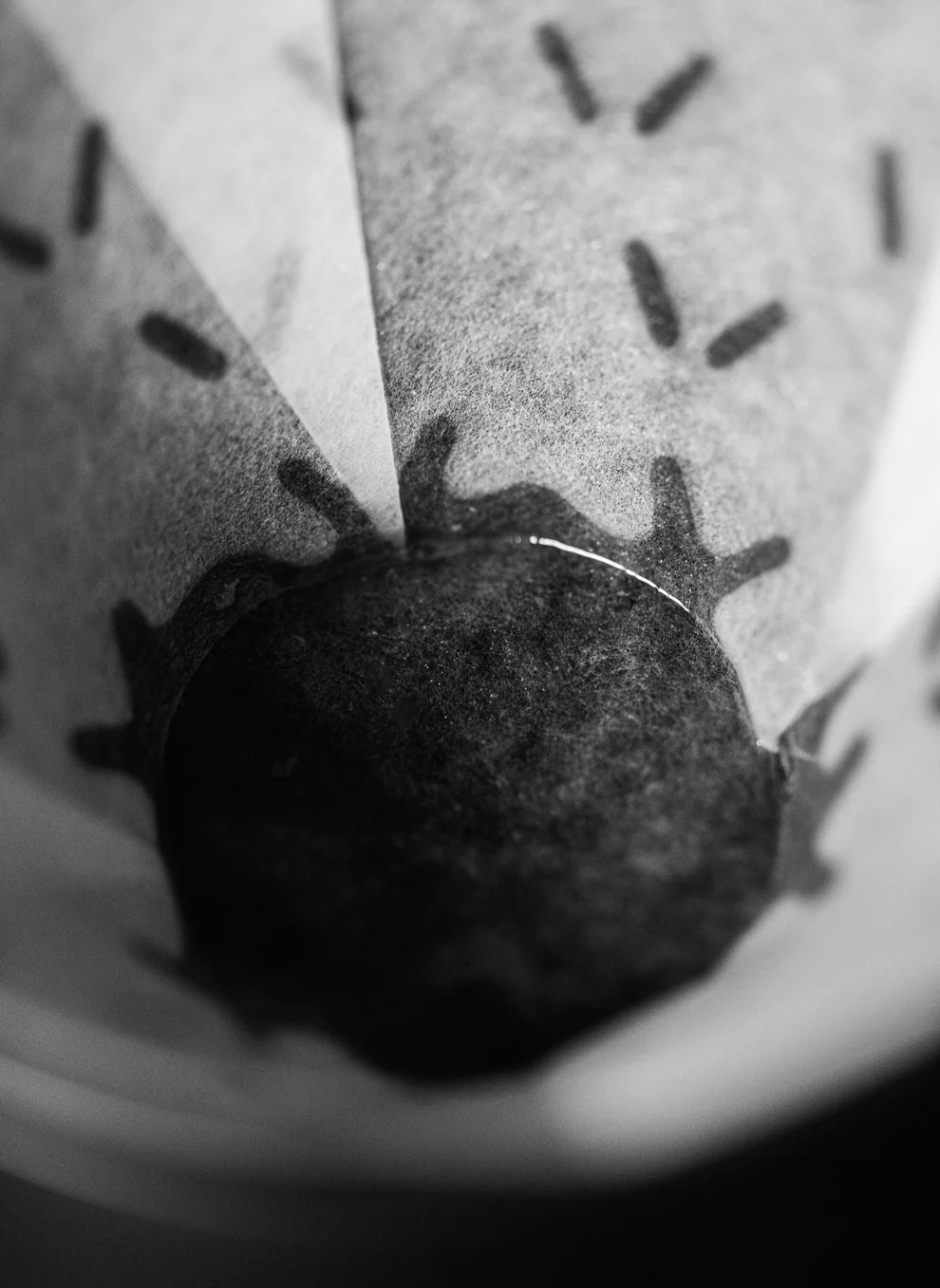 Sibarist × GRAYCANO FAST