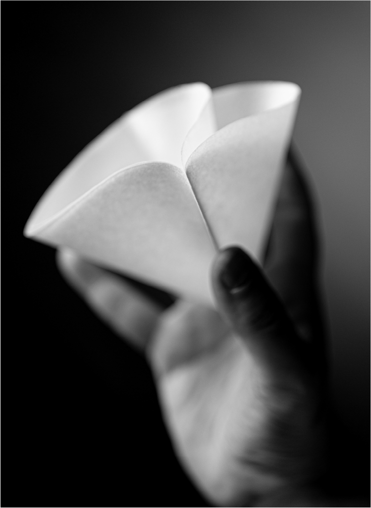 Sibarist DUAL CHAMBER FAST(円錐型)