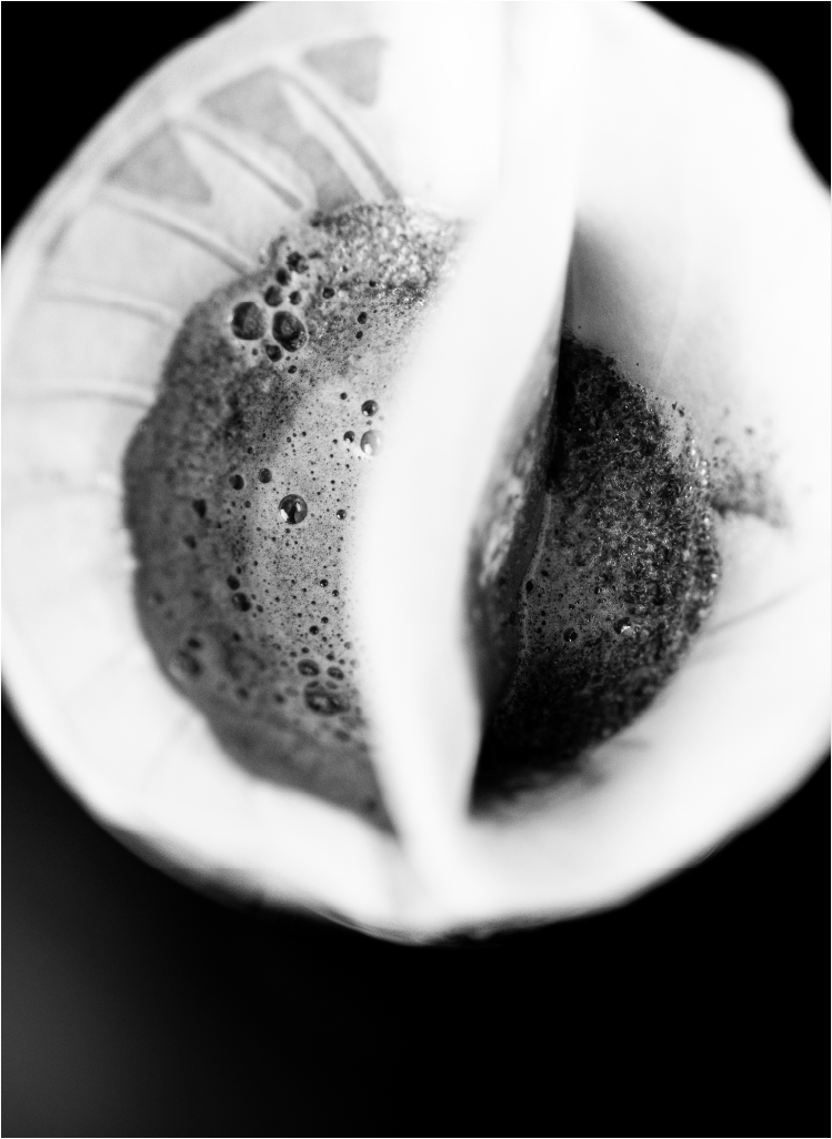 Sibarist DUAL CHAMBER FAST(円錐型)