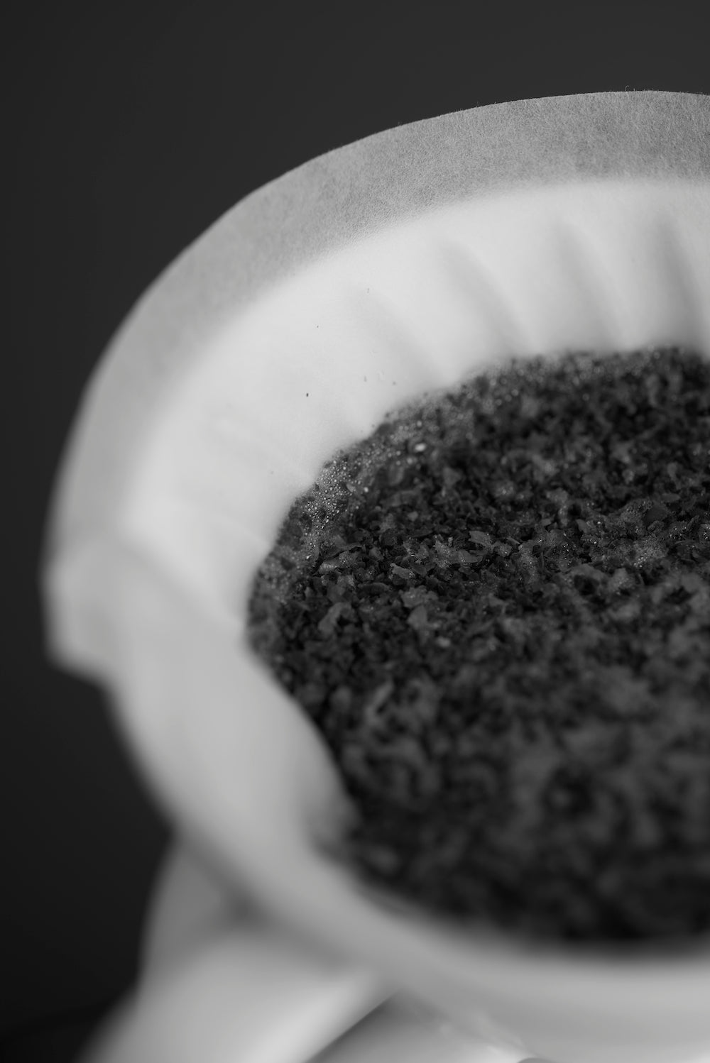 Sibarist CONE FAST(円錐型)