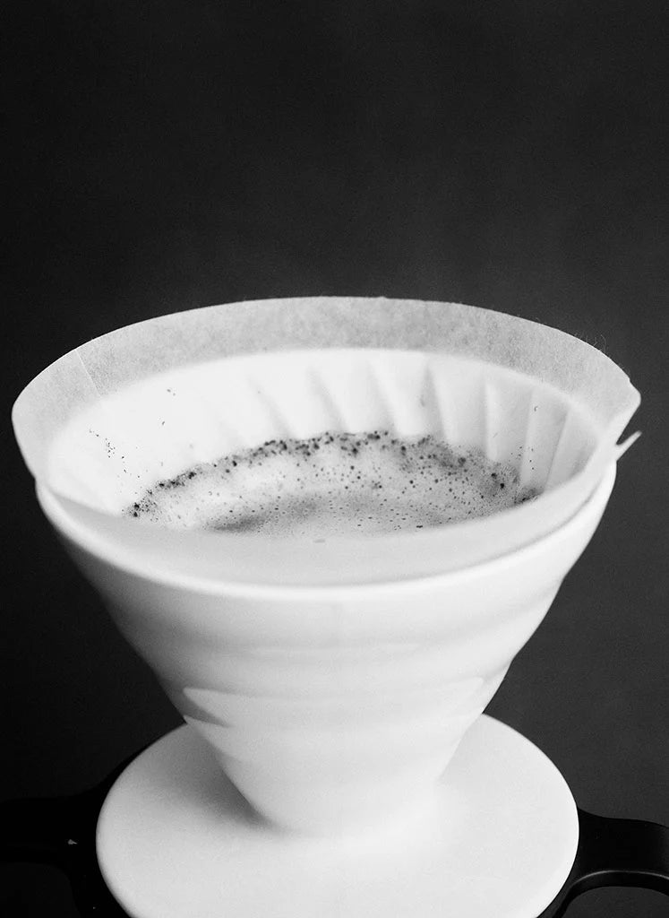 Sibarist CONE FAST(円錐型)