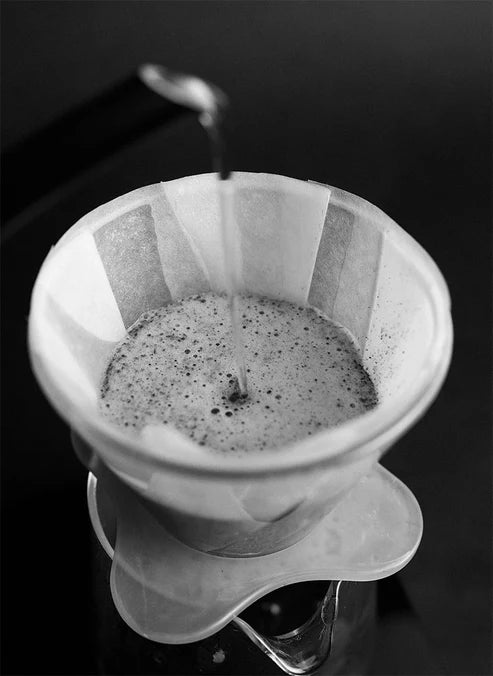 Sibarist × OREA FAST