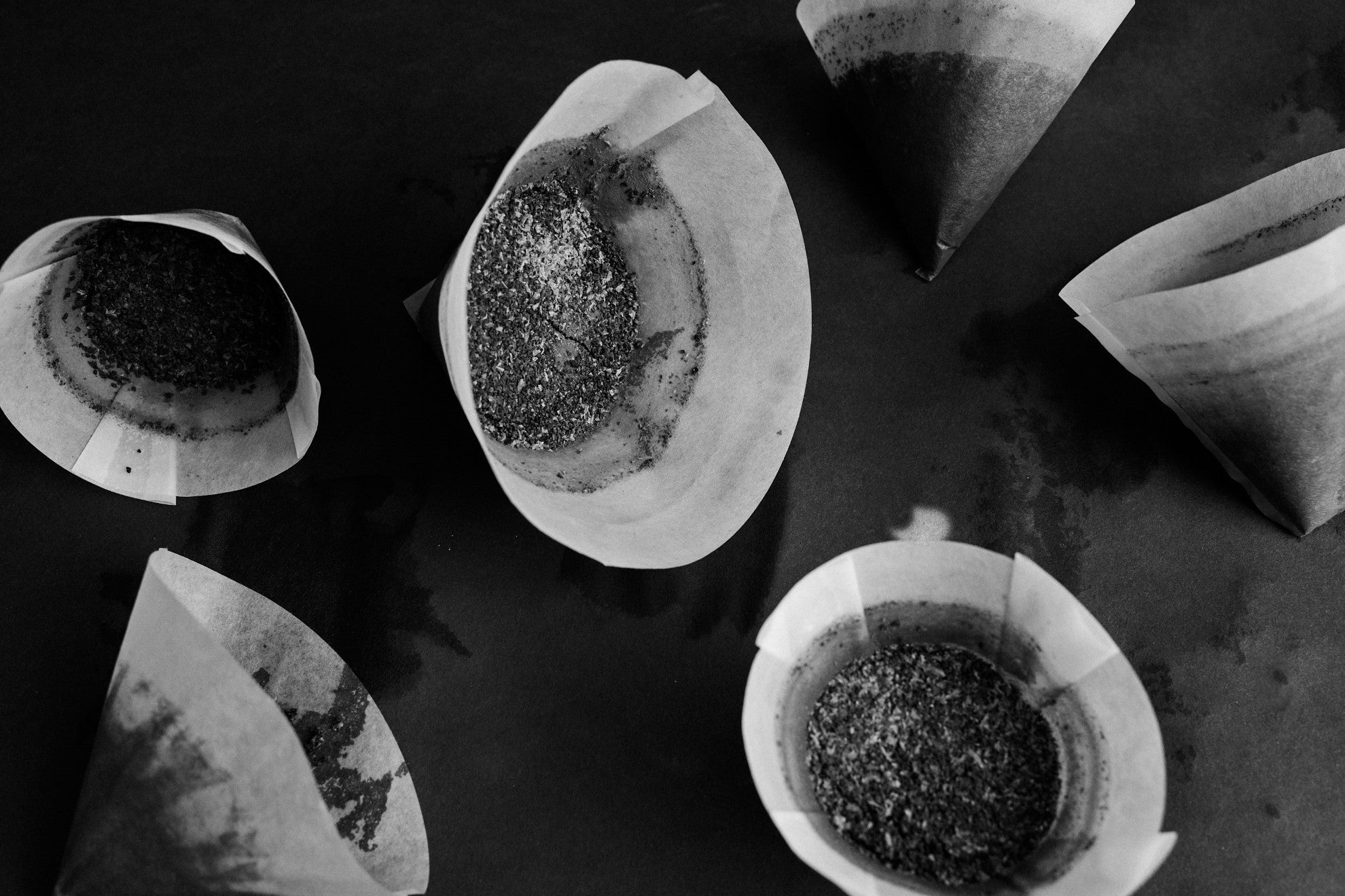 Sibarist FLAT FAST(平底型)