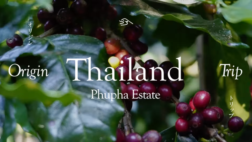 タイ産地Vlog｜チェンマイ・Phupha Estateを訪ねて