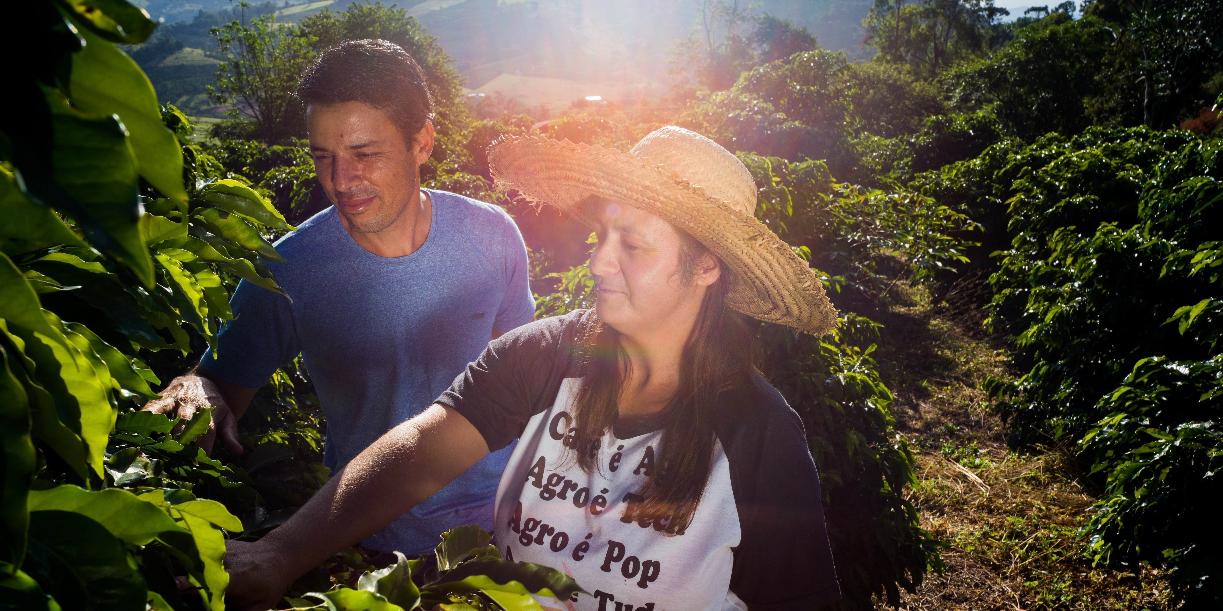 人気の定番「ハウスブレンド」が、ブラジルのシングルオリジンに生まれ変わりました