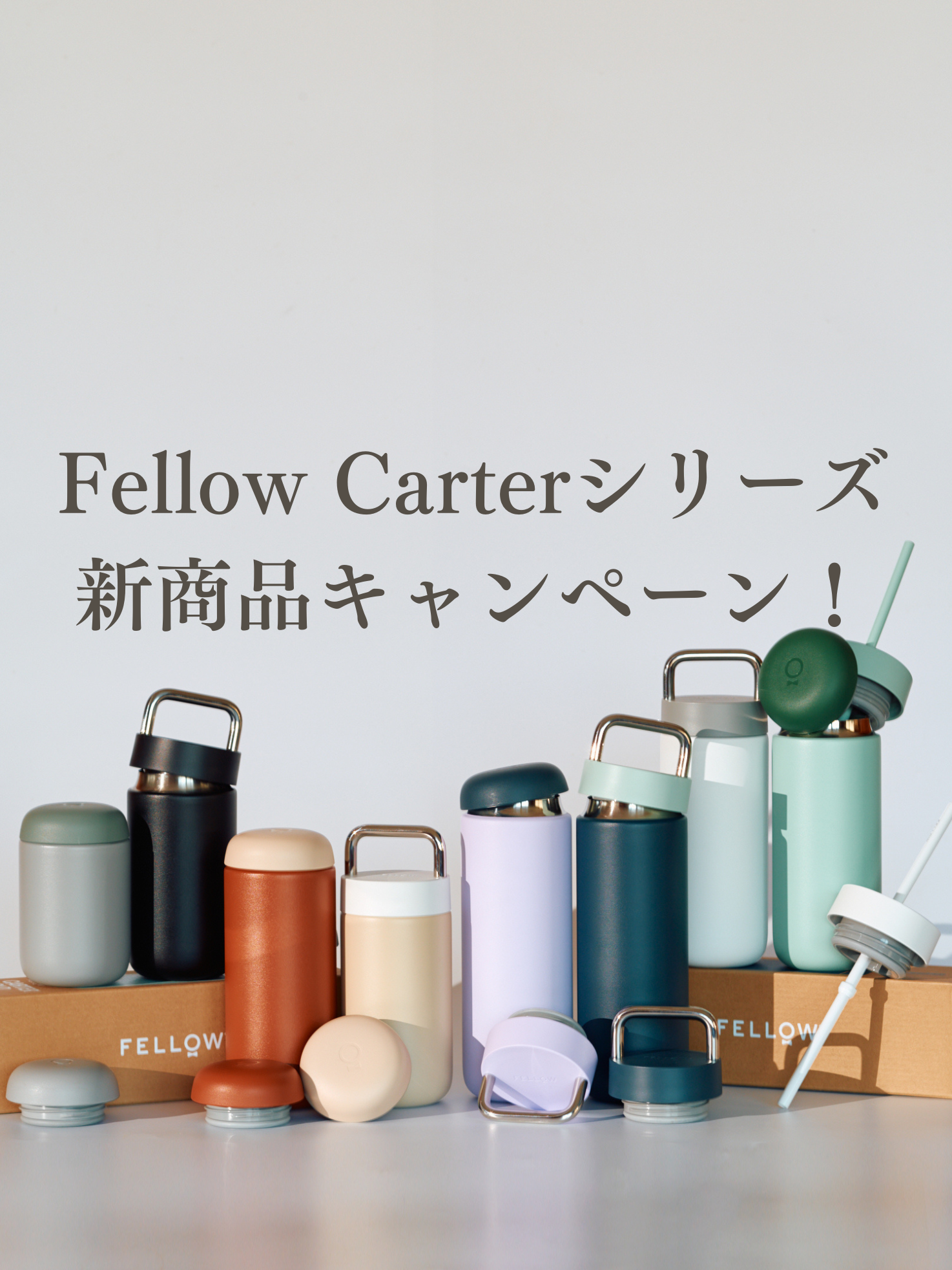 FellowCarterシリーズ新商品キャンペーン！