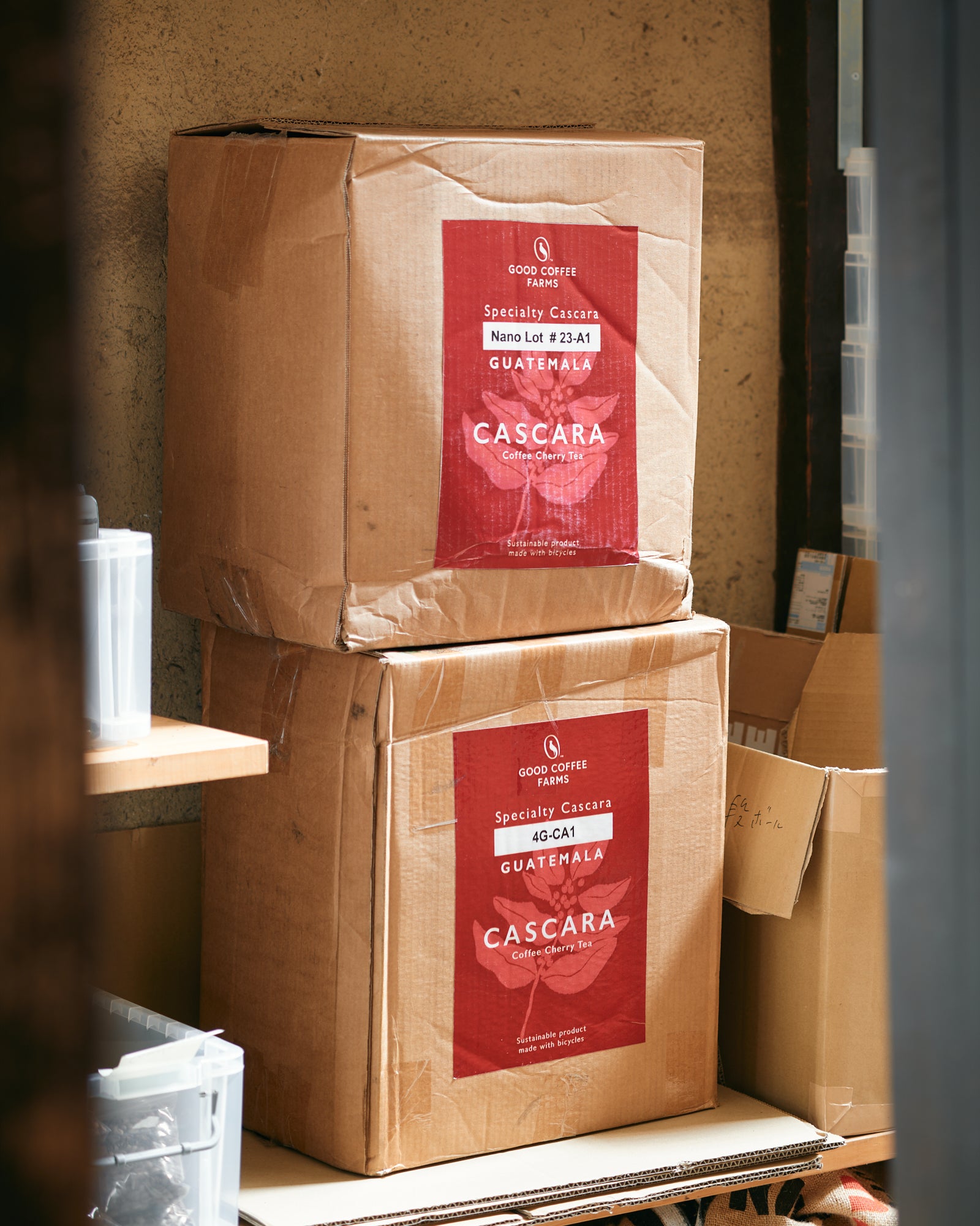 カスカラコーヒーチェリーティー　グアテマラ・ハラパ