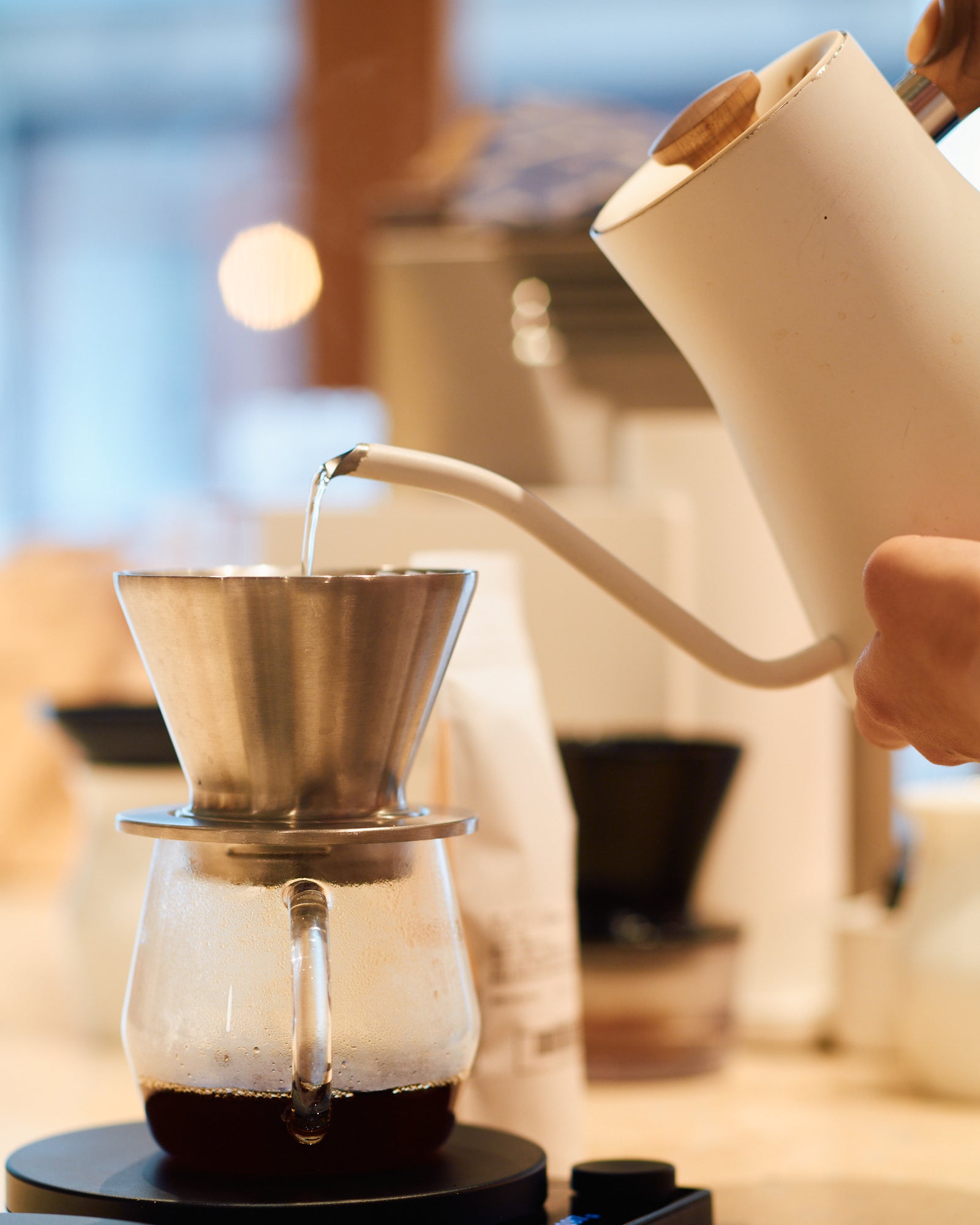 ホンジュラス ベラルミノ・コントレラス [浅煎り]