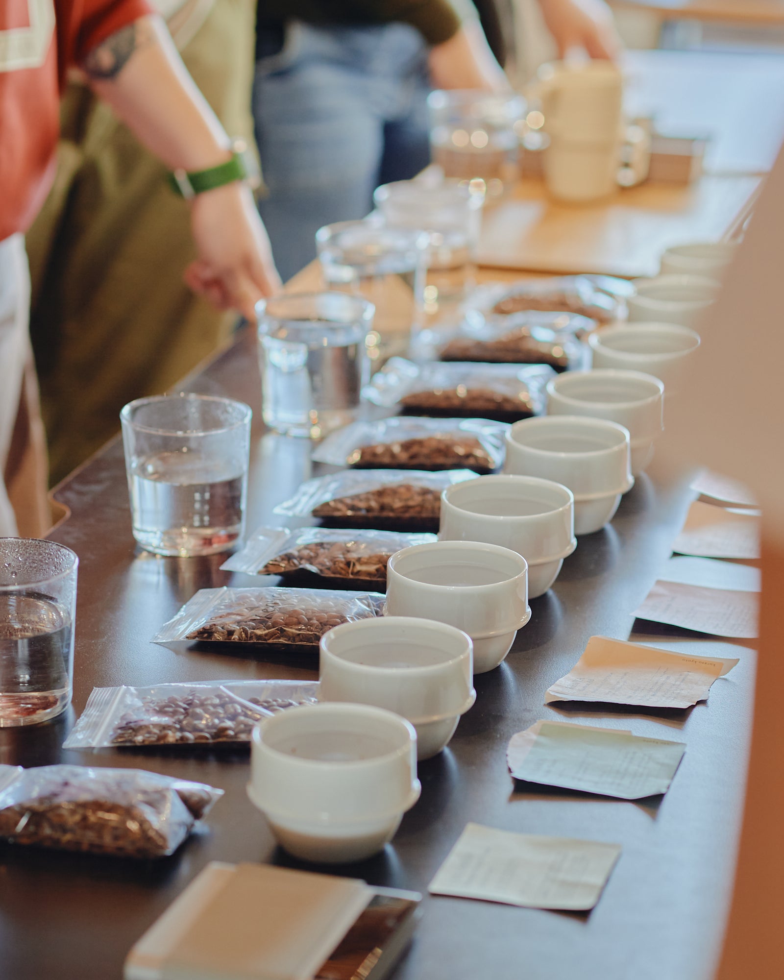 SCA SENSORY SKILL PROFESSIONAL