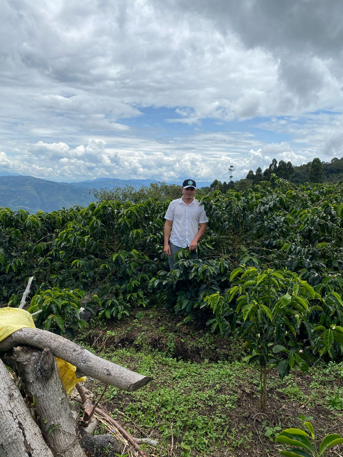 コロンビア アレクサンデル・モンテアレグレ [浅煎り]