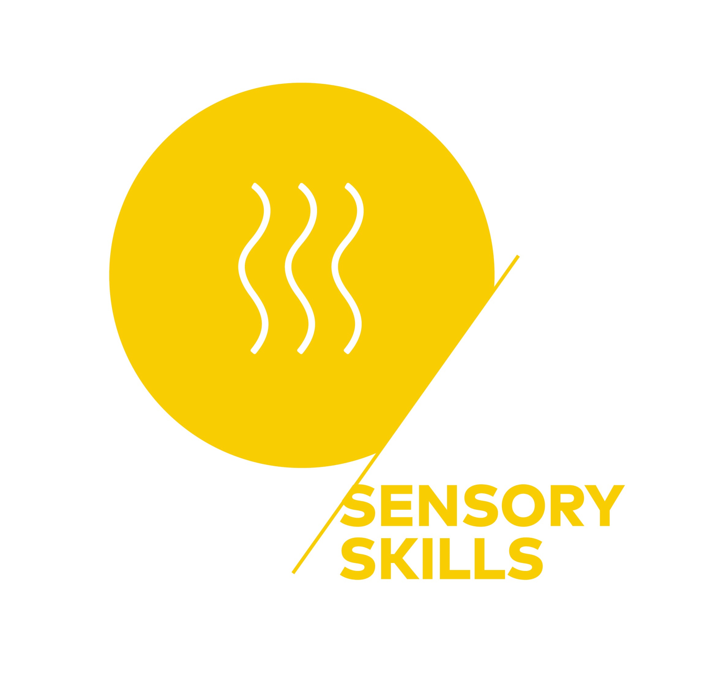 SCA SENSORY SKILL PROFESSIONAL