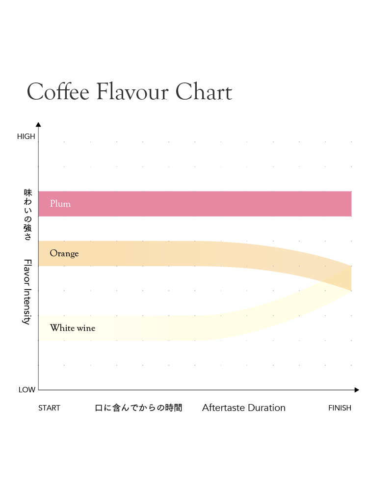 コロンビア ヤディミル・キグアナス・ペレス [浅煎り]