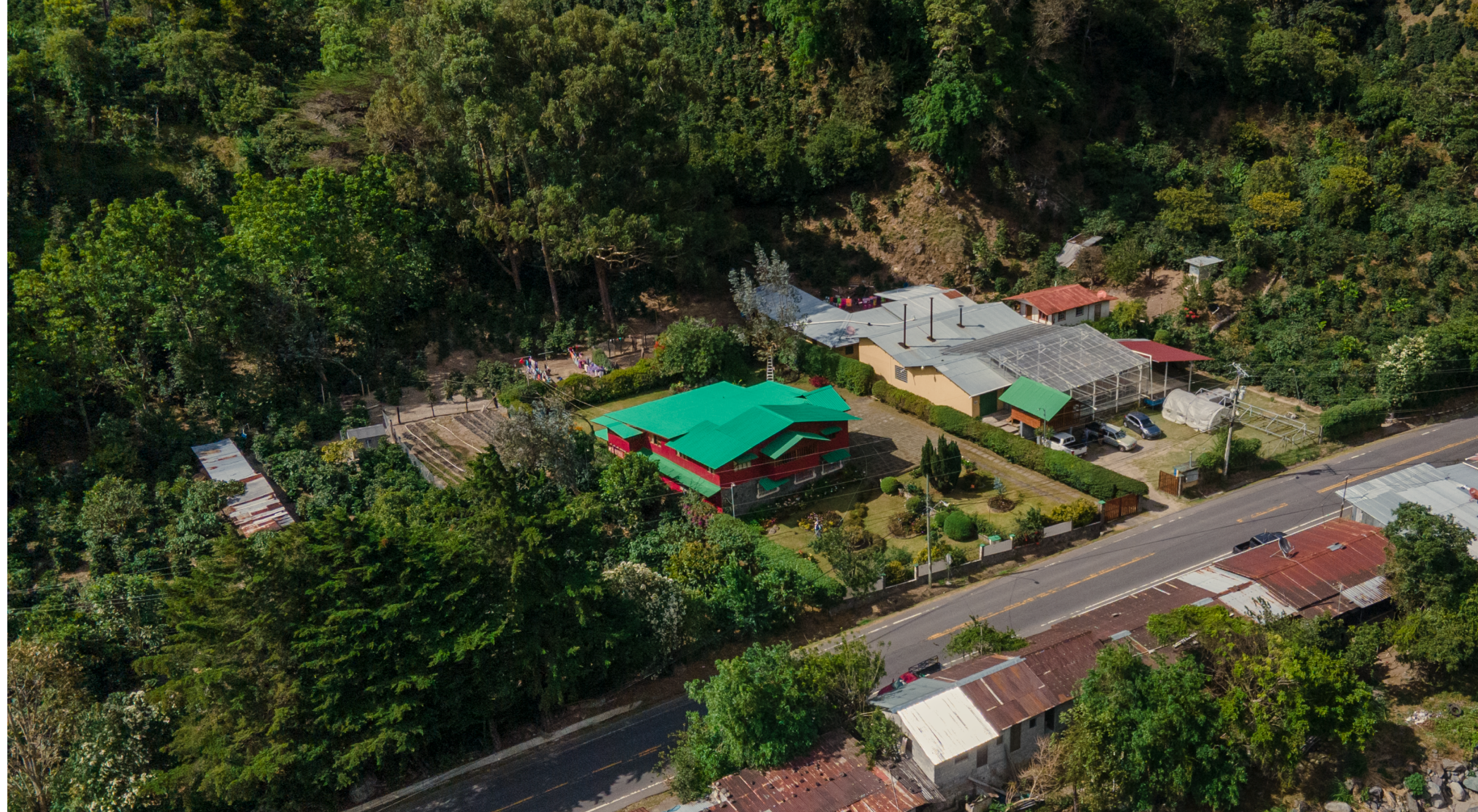 パナマ バンビート エステイト [浅煎り]