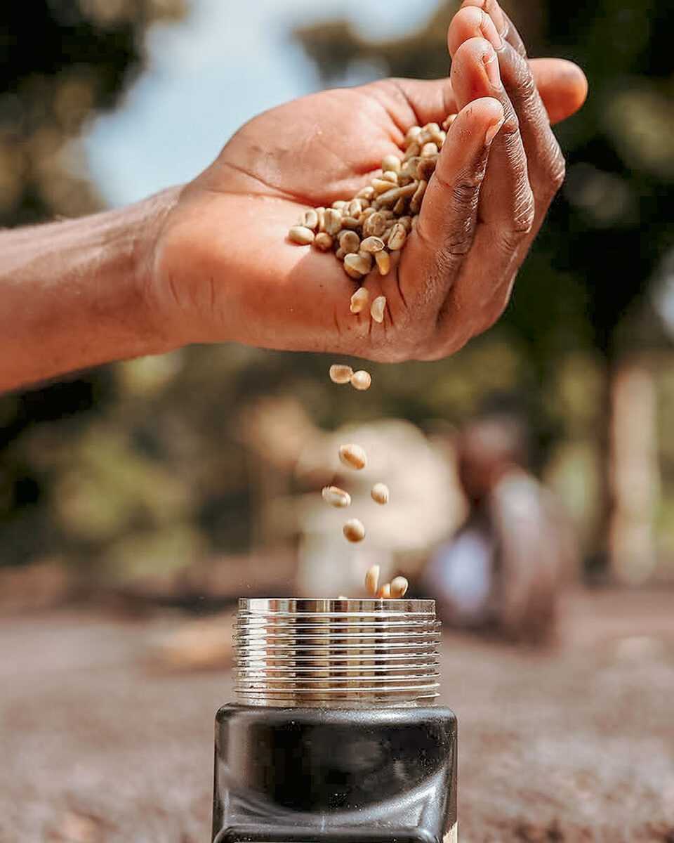 【プレミアム】エチオピア ケネアン・ドゥカモ [浅煎り]