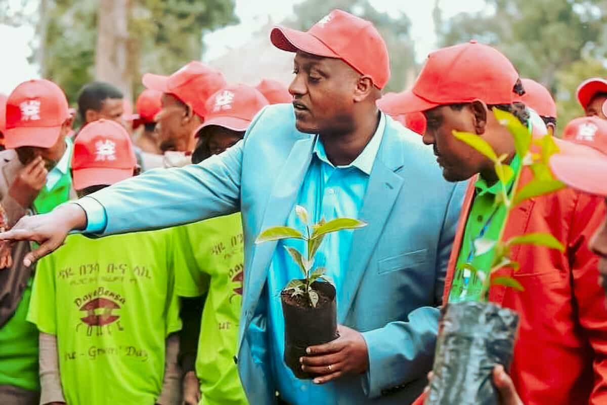 【プレミアム】エチオピア ケネアン・ドゥカモ [浅煎り]