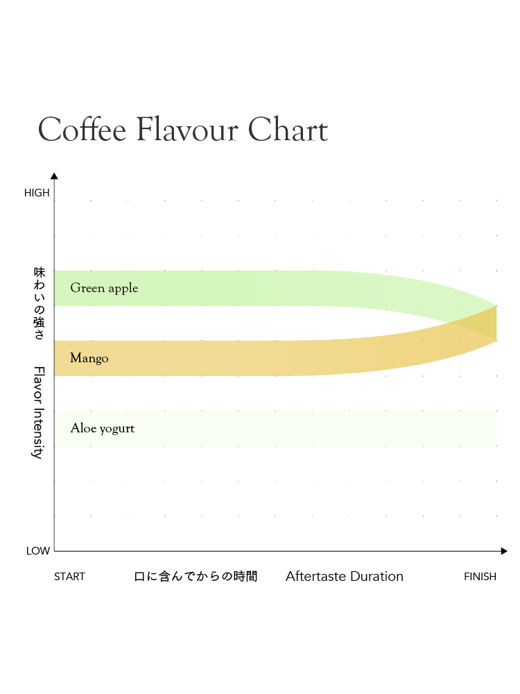 【プレミアム】エクアドル ルグマパタ シドラ [浅煎り]