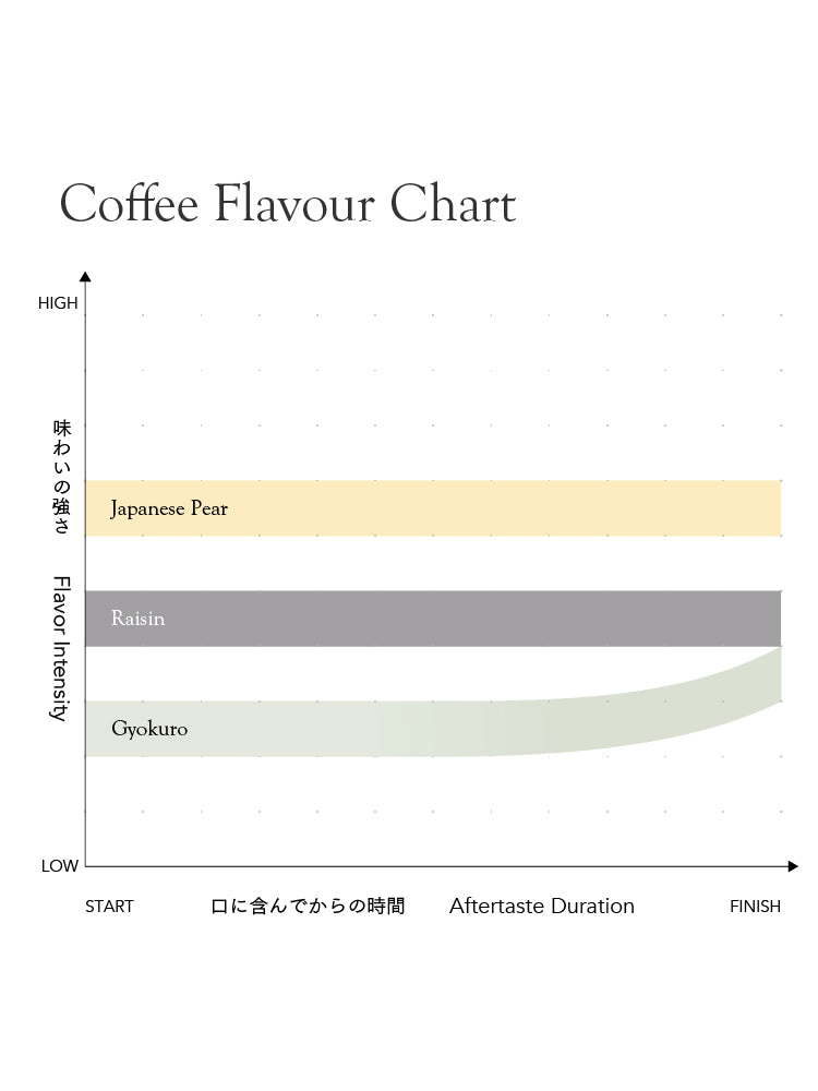エルサルバドル エメルソン・バスケツ パカマラ [浅煎り]