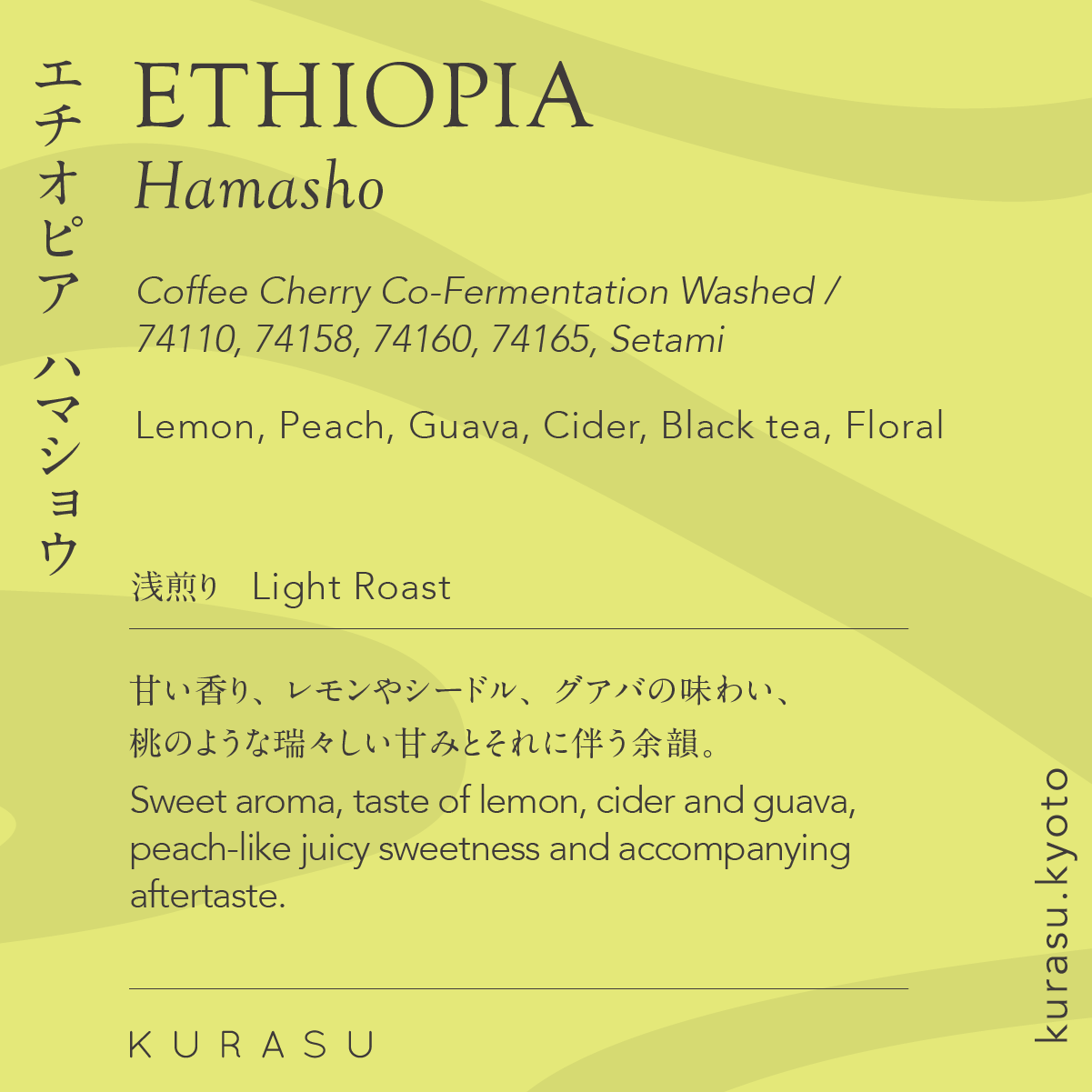 [Premium] Drip Bag Ethiopia Hamasho [Light Roast]