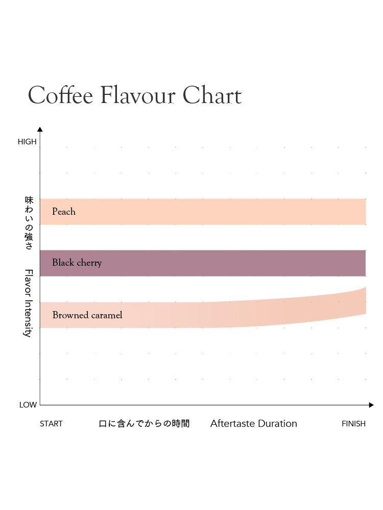 エチオピア シダモ デカフェ [中煎り]