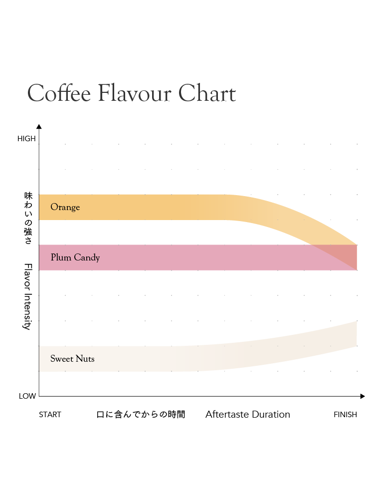 FAF ミディアム [中煎り]