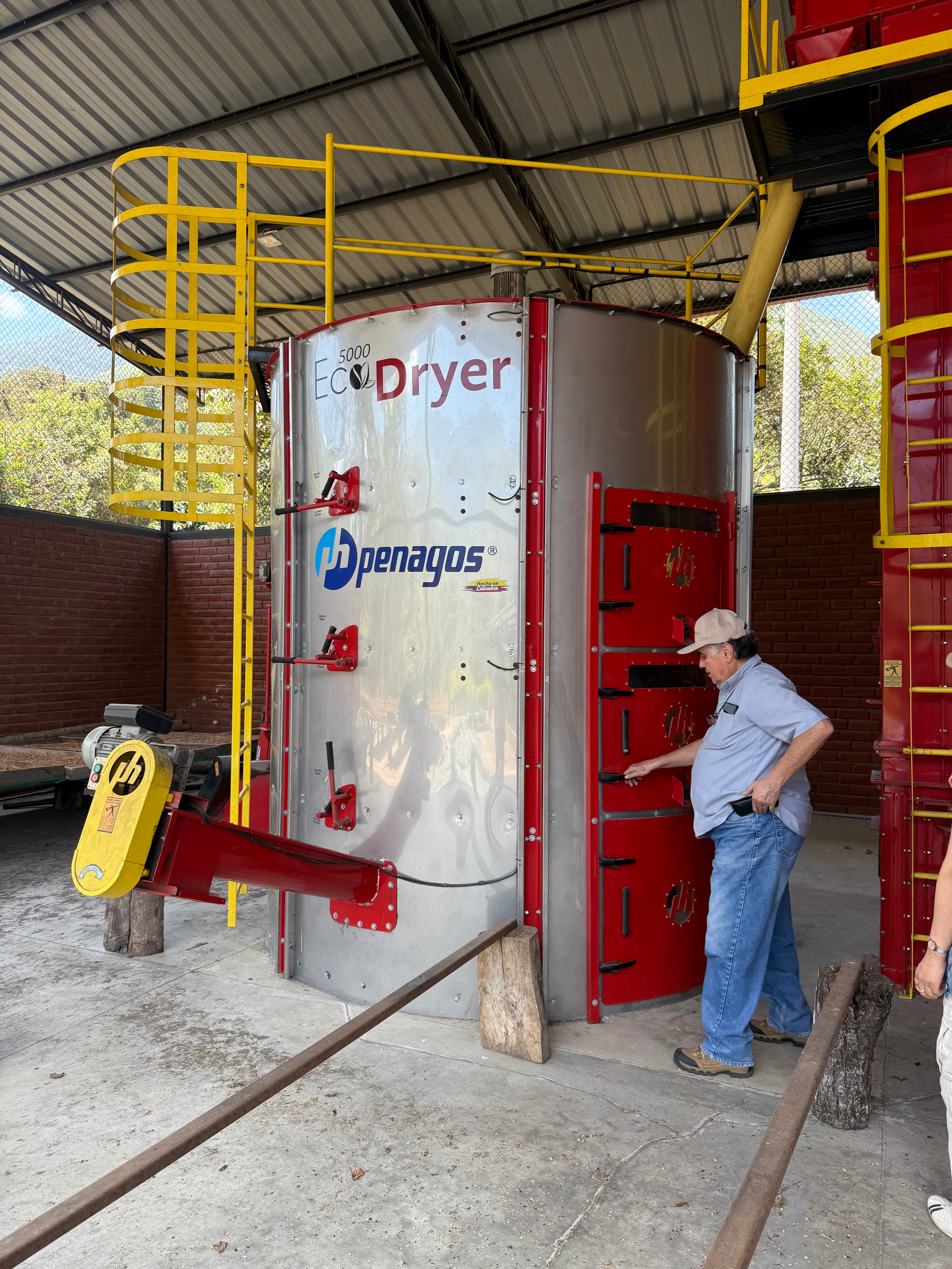 【プレミアム】エクアドル ルグマパタ シドラ [浅煎り]