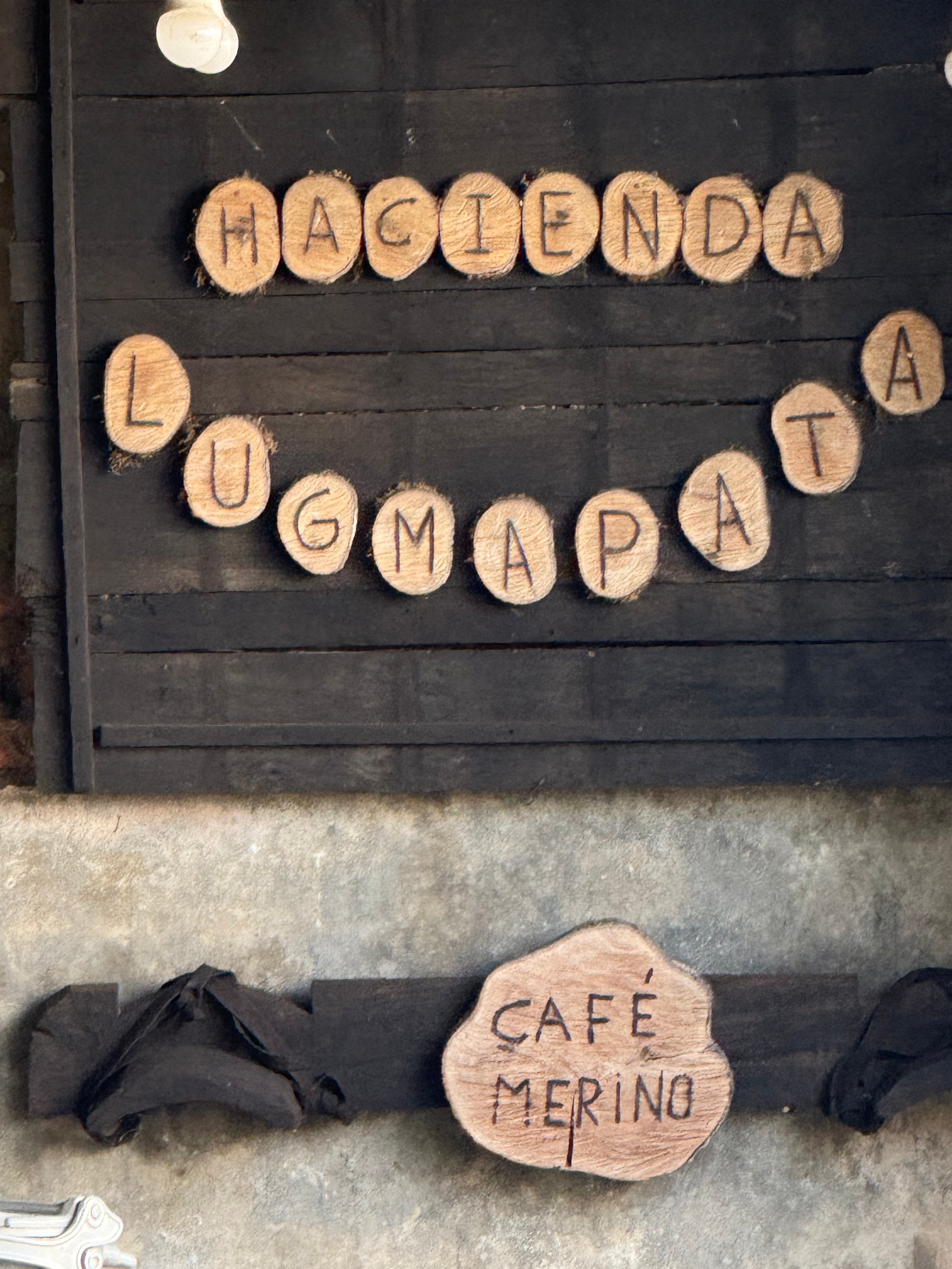 【プレミアム】エクアドル ルグマパタ シドラ [浅煎り]