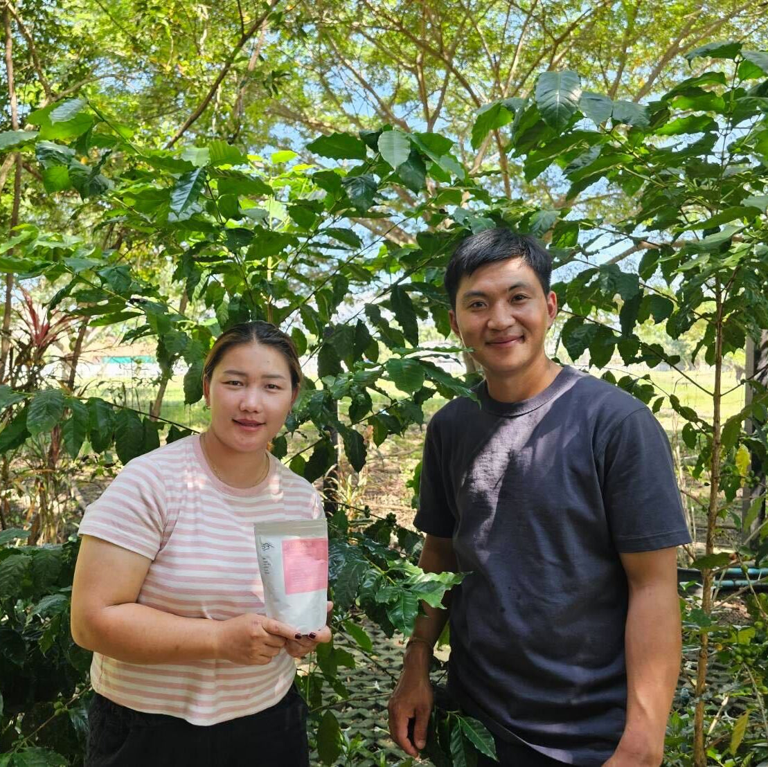 タイ アヨ アンド ミカ [中煎り]