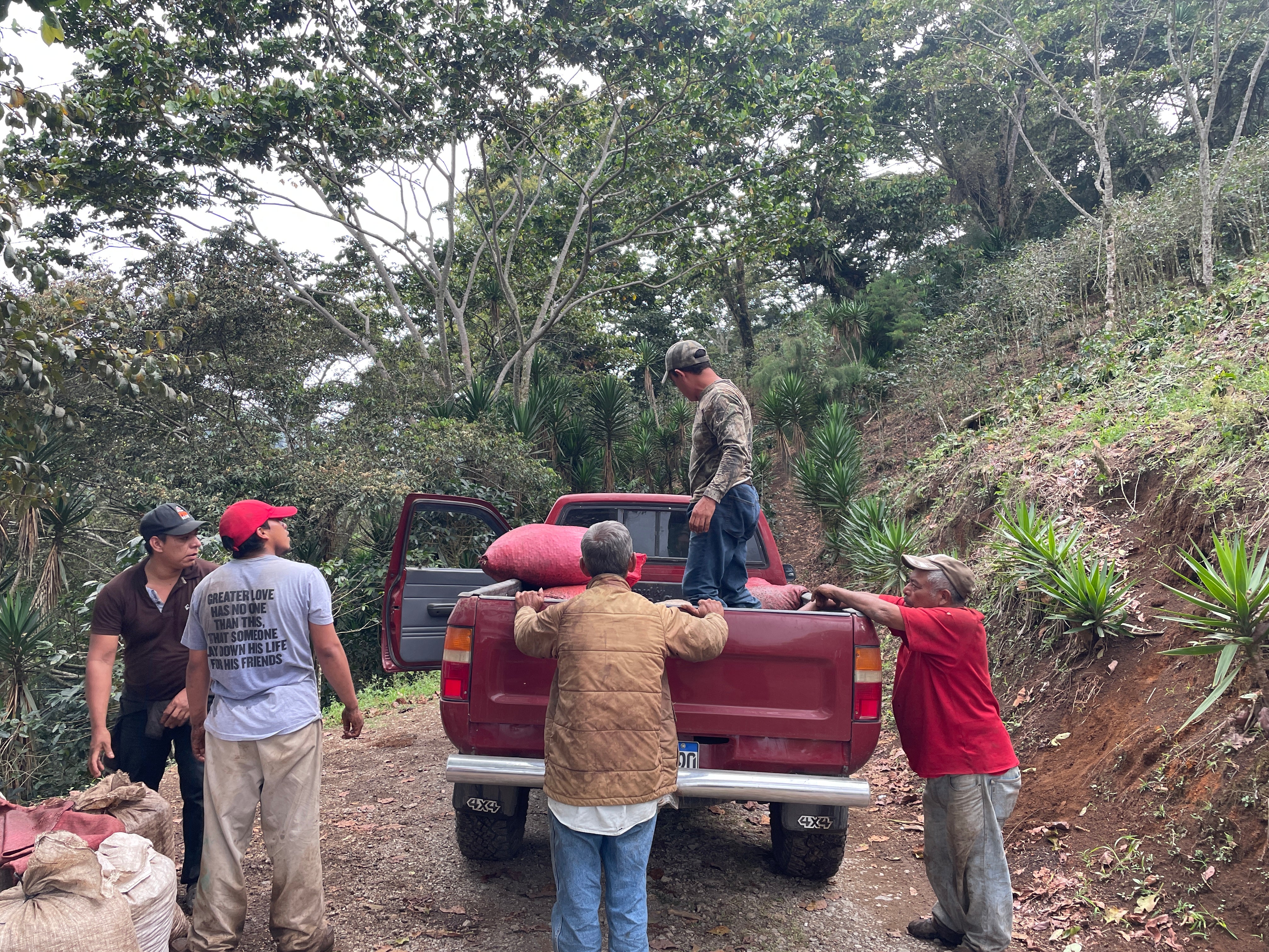 ホンジュラス ベラルミノ・コントレラス [浅煎り]