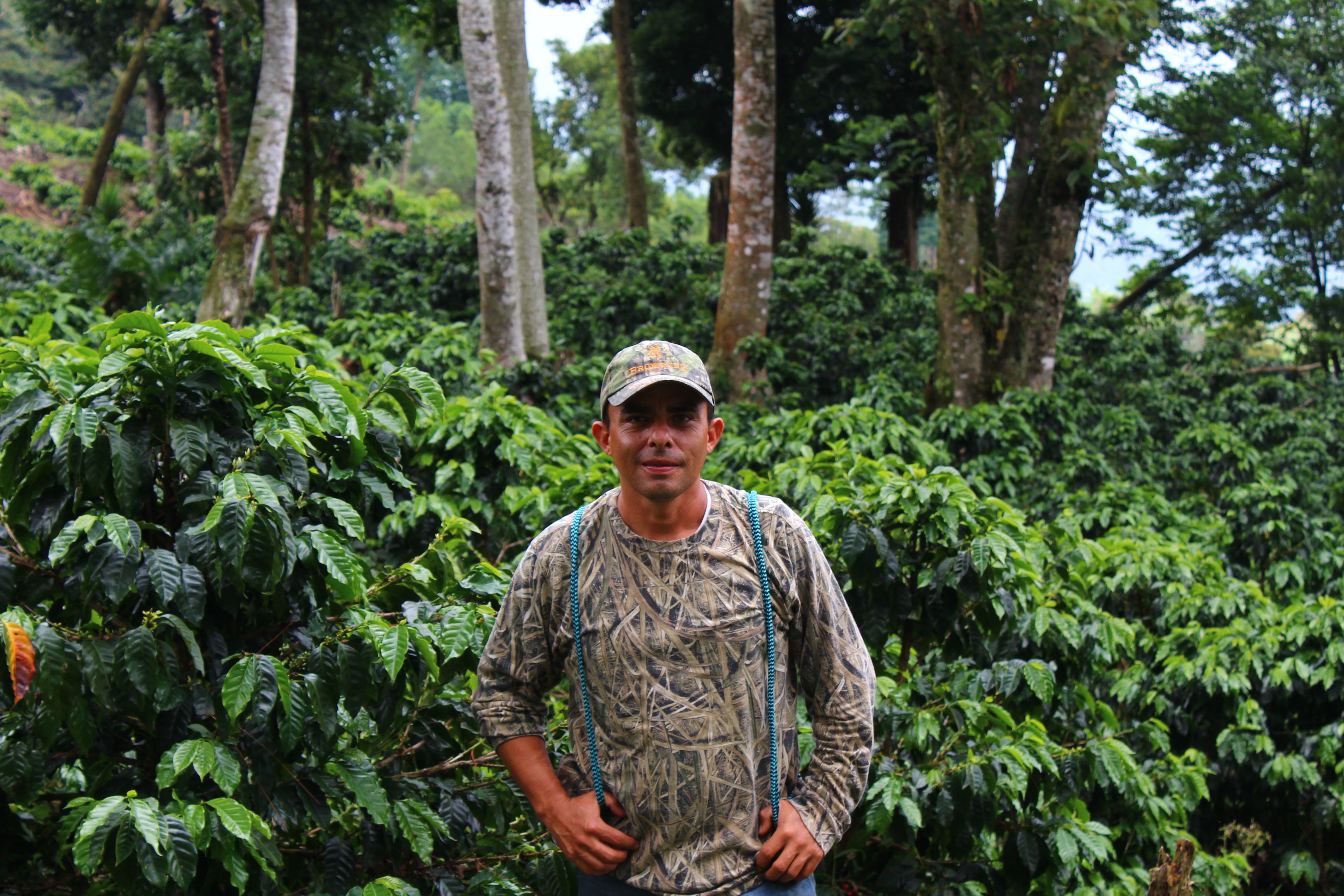 ホンジュラス ベラルミノ・コントレラス [浅煎り]