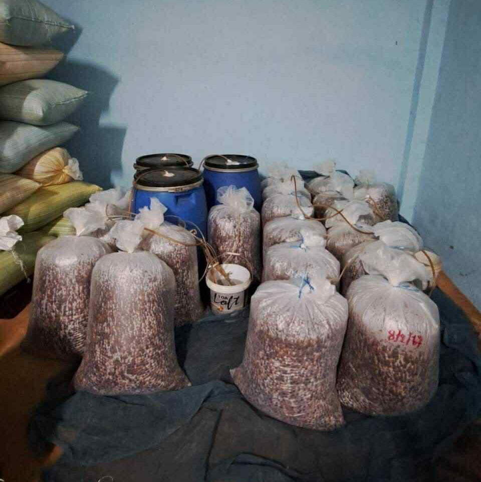 タイ アヨ アンド ミカ [中煎り]