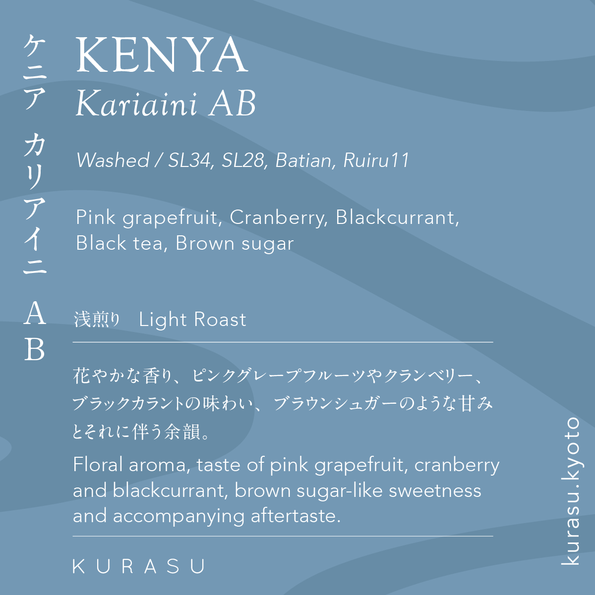 Drip bag Kenya Kaliyaini AB [light roast]