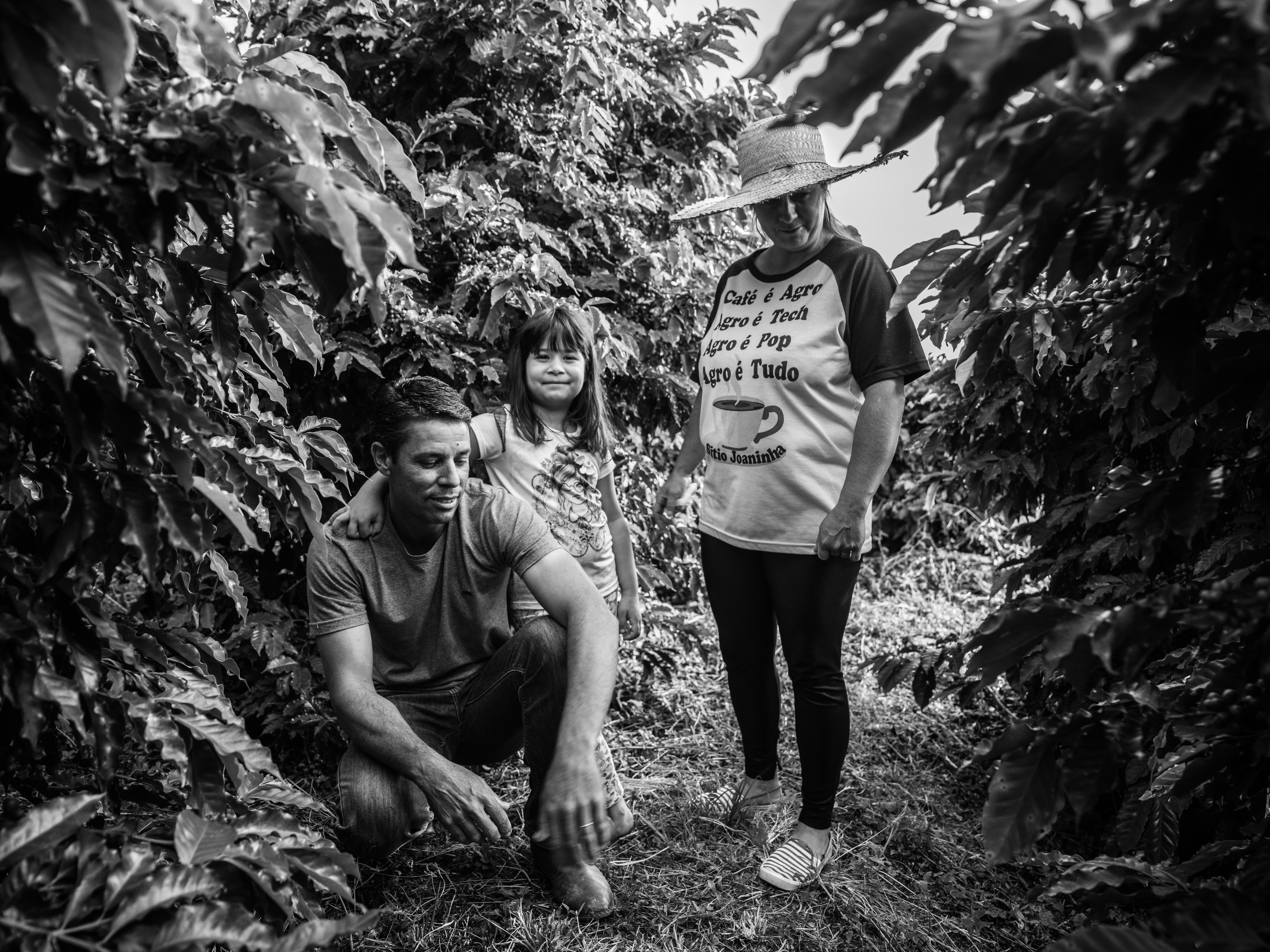 FAF ダーク [深煎り]