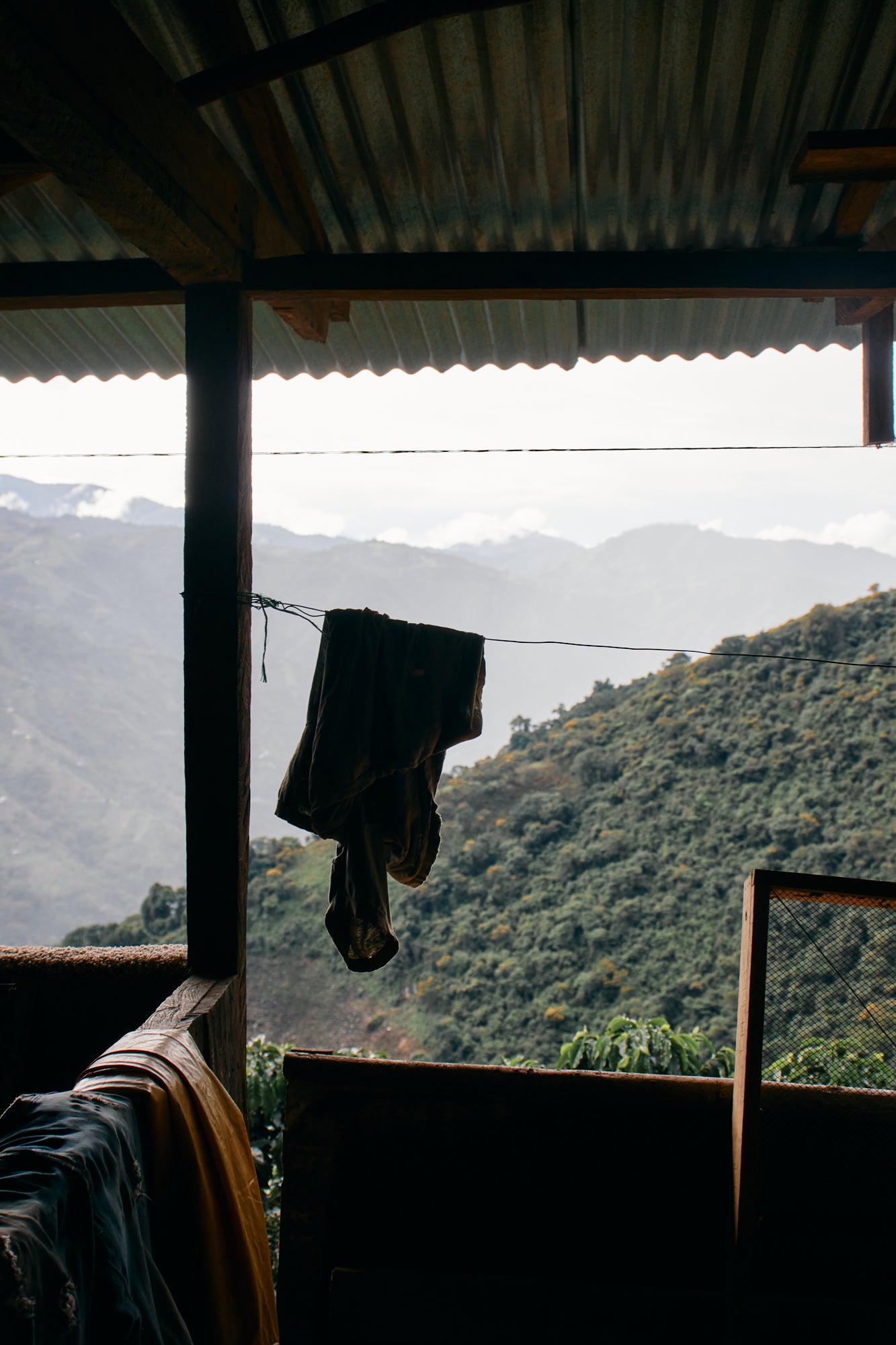 コロンビア カルロス・ソト CWCF #5 [浅煎り]